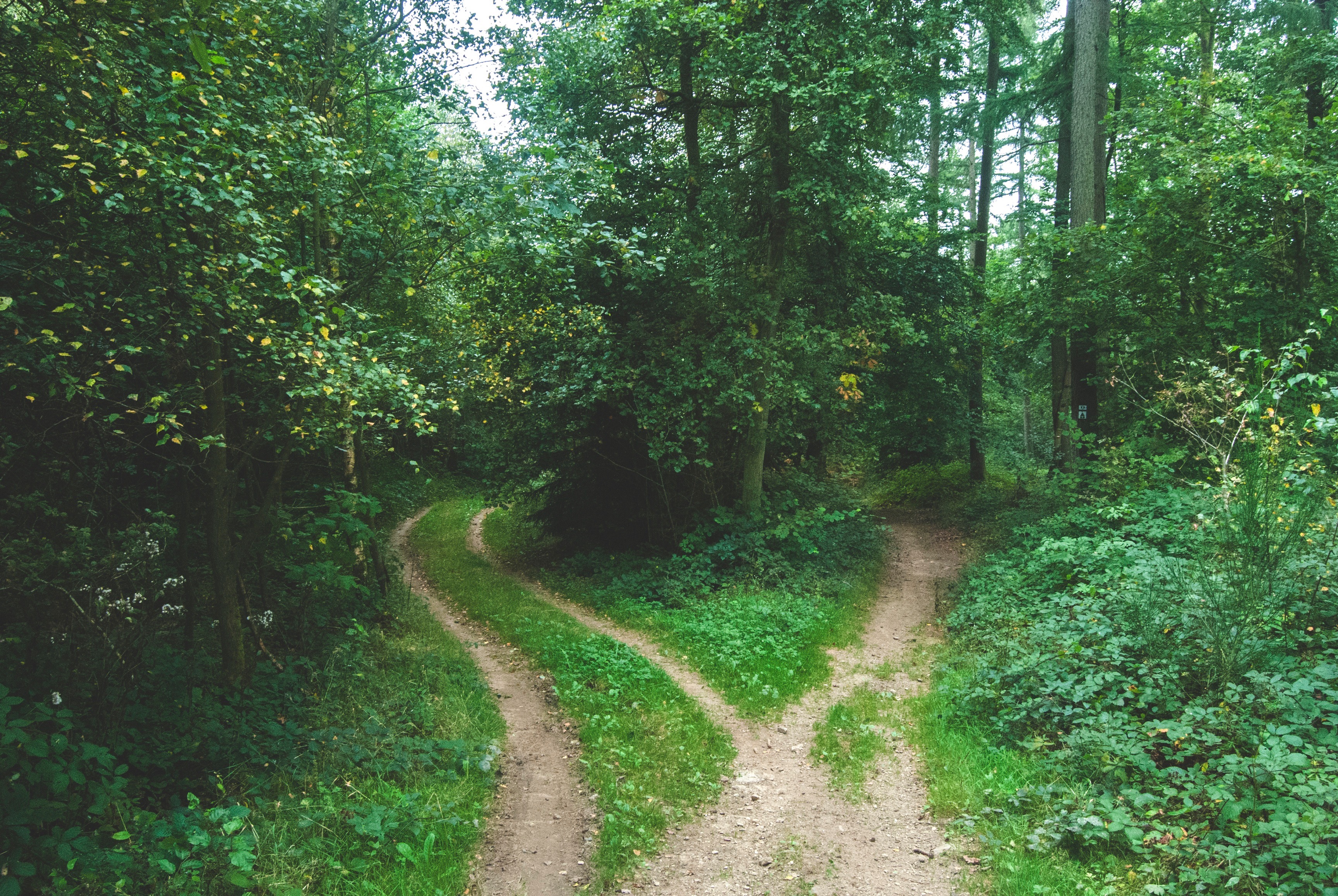 Pothway A Pathway – normabobb