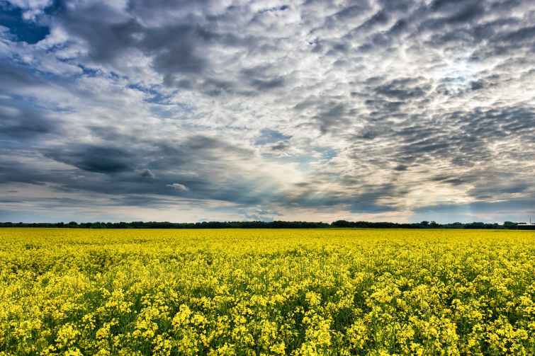 clouds countryside daylight field